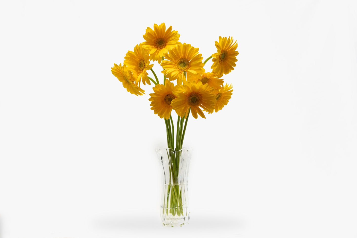 Design 17