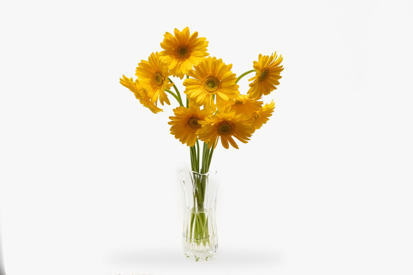 Design 17