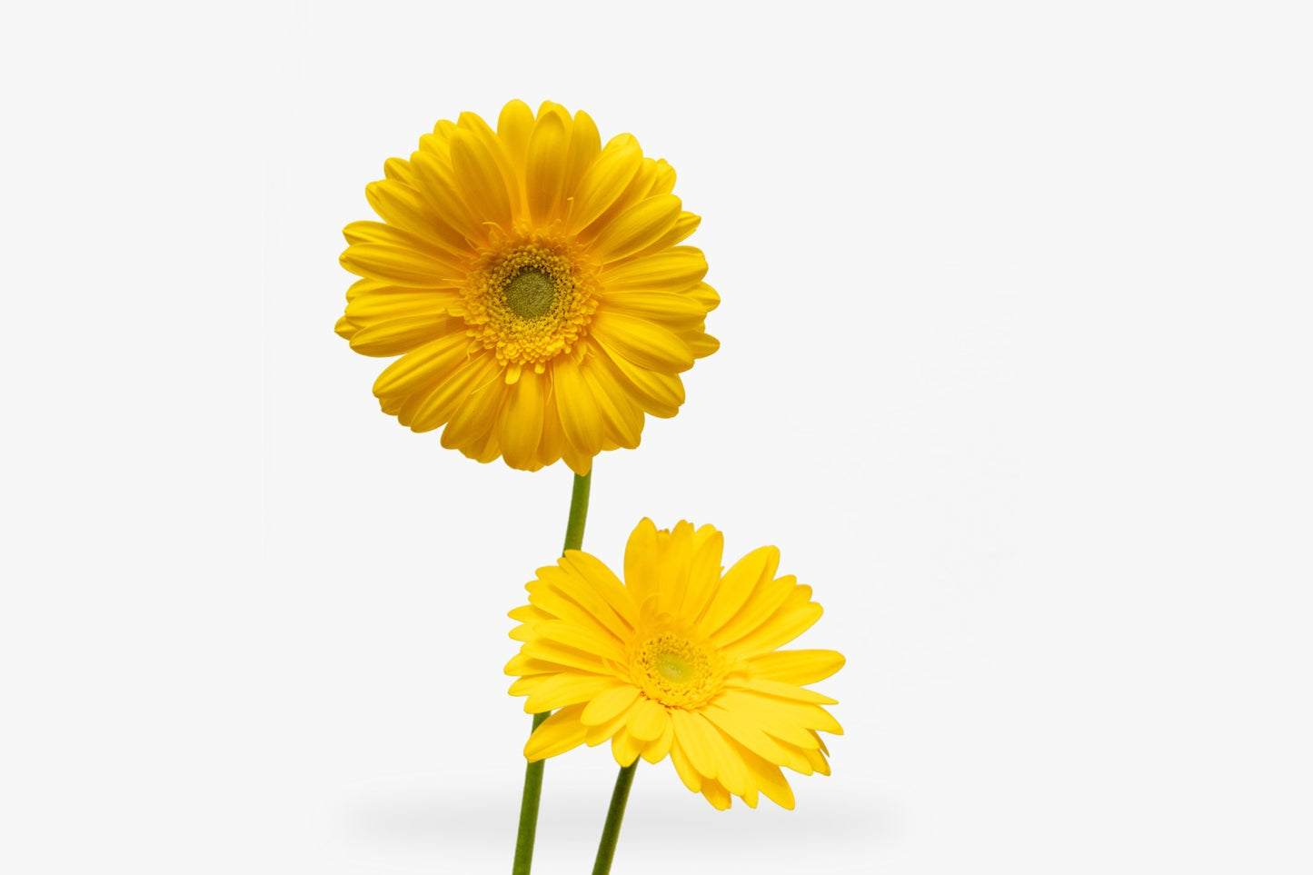 Design 17